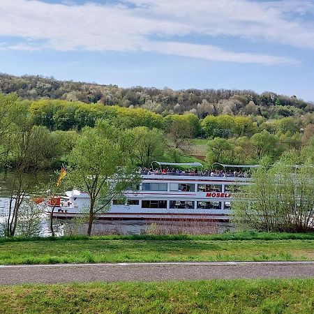Ferienwohnungen "Moselblick" Lieser Εξωτερικό φωτογραφία