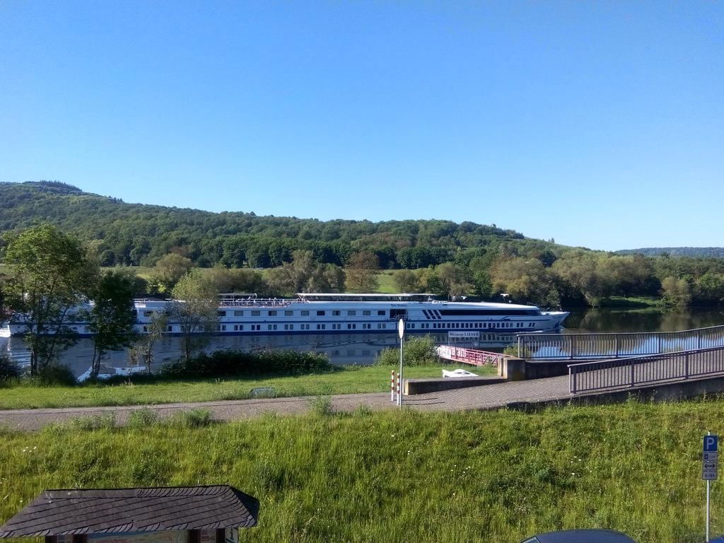 Ferienwohnungen "Moselblick" Lieser Εξωτερικό φωτογραφία